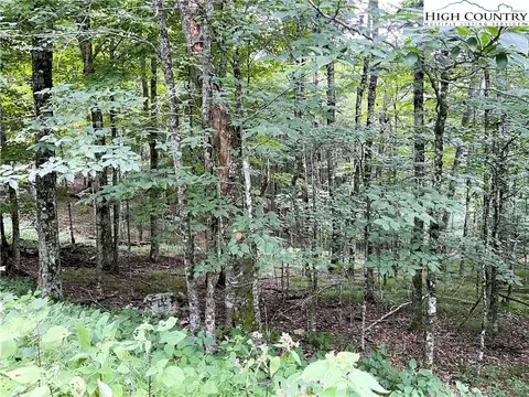211 Sawmill Branch Rd, Beech Mountain, NC 28604 photo 3