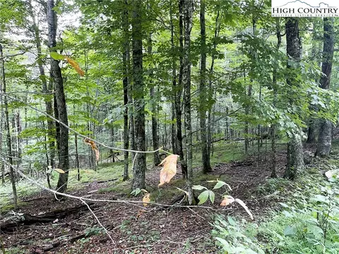 211 Sawmill Branch Rd, Beech Mountain, NC 28604