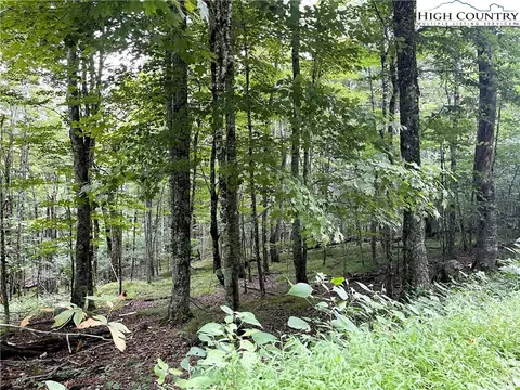211 Sawmill Branch Rd, Beech Mountain, NC 28604 photo 2