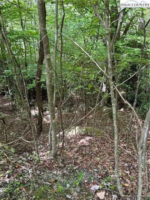 105 Sassafrass Rd, Beech Mountain, NC 28604
