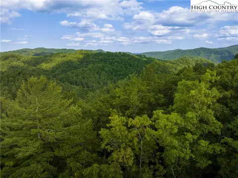 33 Inkberry Dr, Ferguson, NC 28724