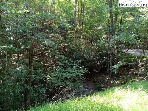 tbd No St, Beech Mountain, NC 28604