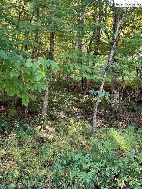 tbd Phillips St, Boone, NC 28607 photo 2