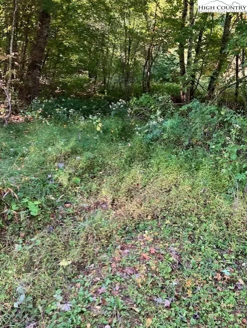 tbd Phillips St, Boone, NC 28607