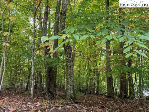 tbd Carefree Cove Rd, Zionville, NC 28698
