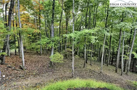1332 Tomahawk Dr, Todd, NC 28684 photo 33