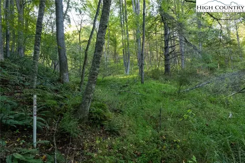 tbd Legra Rd #55, Grassy Creek, NC 28631