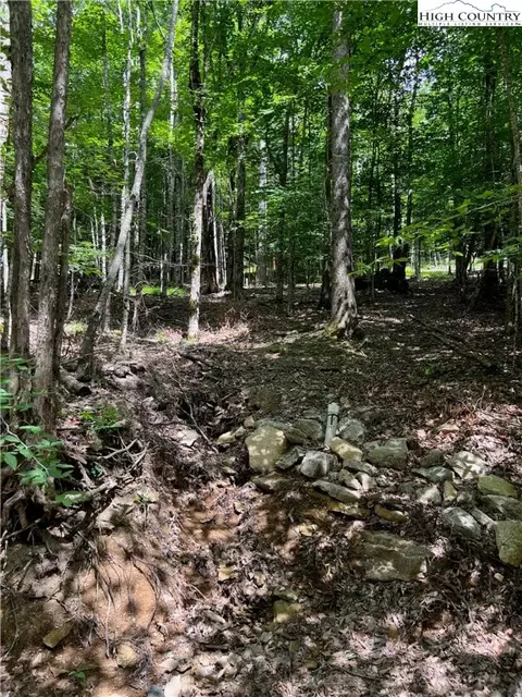 162 Hornbeam Rd, Beech Mountain, NC 28604 photo 3
