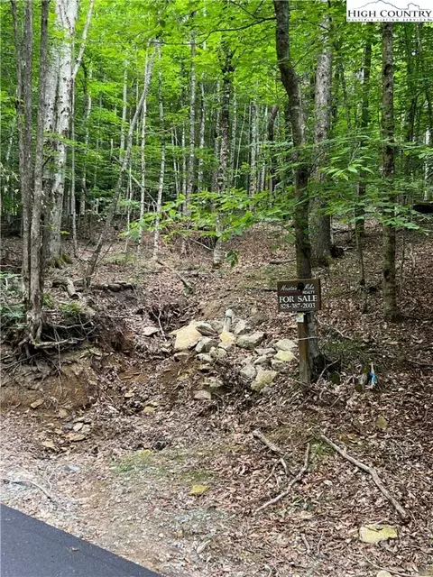 162 Hornbeam Rd, Beech Mountain, NC 28604 photo 4