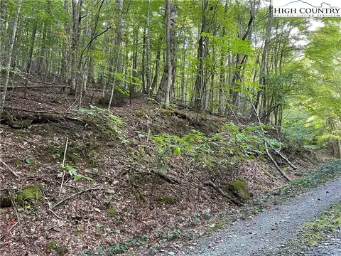126 Arrowhead Rd, Beech Mountain, NC 28604 photo 3