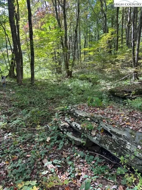 lot36 Beechwood Cir, Creston, NC 28615