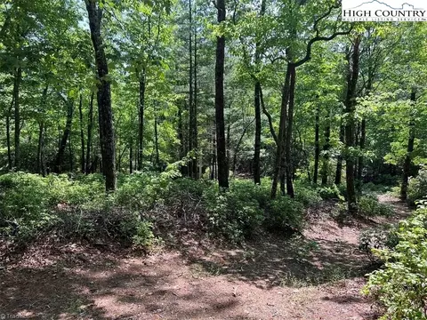 tbd Laurel Rd, Purlear, NC 28665