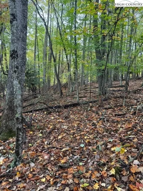 108 Black Birch Ln, Beech Mountain, NC 28604