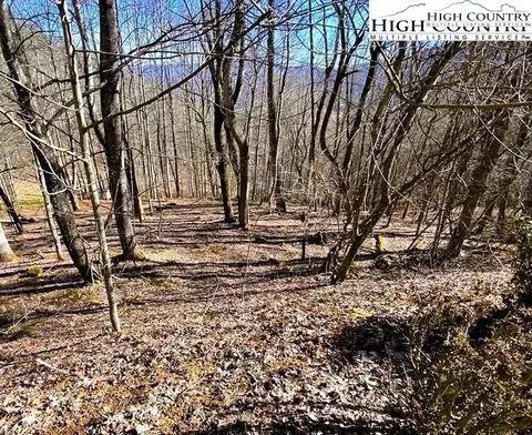 lot31 Larkspur Trl, Banner Elk, NC 28604