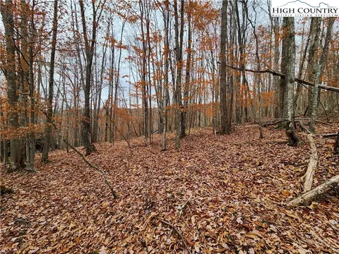 139 Arrowhead Rd, Beech Mountain, NC 28604 photo 4