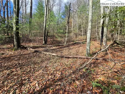 lot25 Riverstone, Laurel Springs, NC 28644