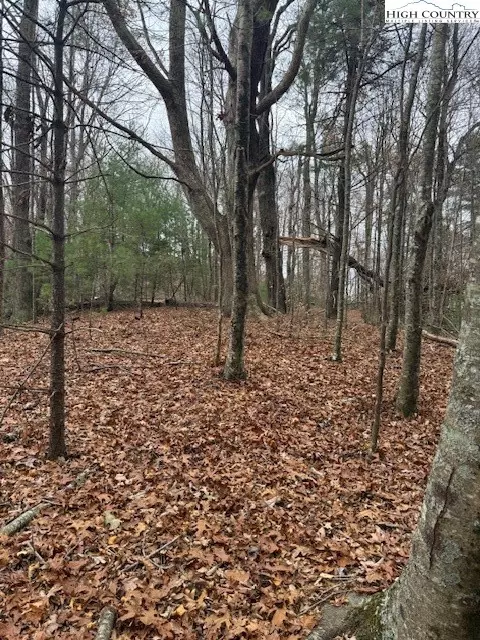 tbd Big Ridge Rd, Fleetwood, NC 28694