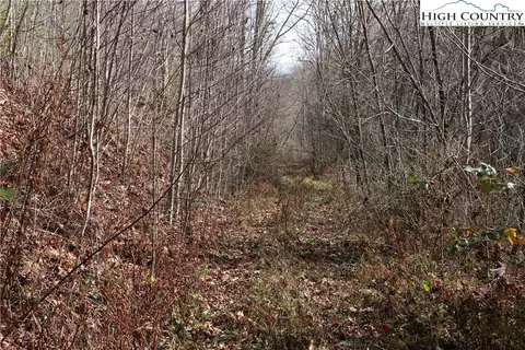 tbd Big Laurel Rd, Creston, NC 28615 photo 17