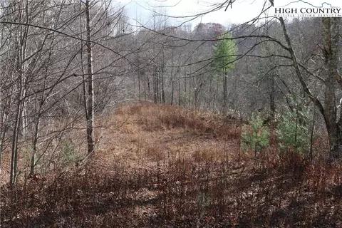 tbd Big Laurel Rd, Creston, NC 28615 photo 13