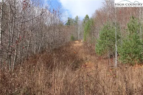 tbd Big Laurel Rd, Creston, NC 28615 photo 18