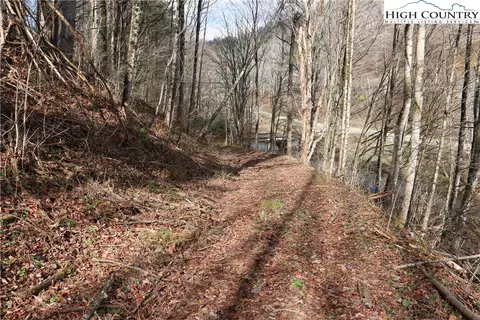 tbd Big Laurel Rd, Creston, NC 28615 photo 8