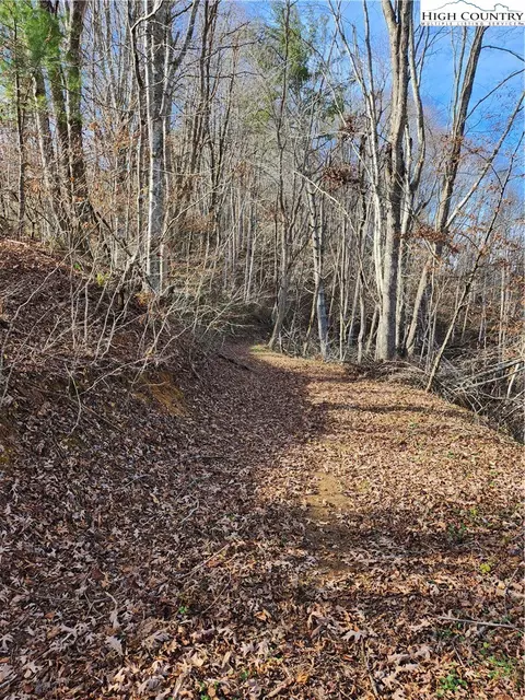 tbd Big Laurel Rd, Creston, NC 28615 photo 9