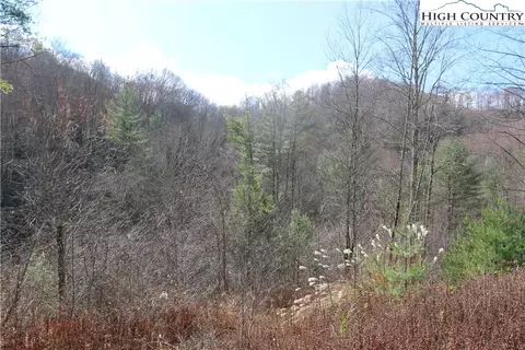 tbd Big Laurel Rd, Creston, NC 28615 photo 19