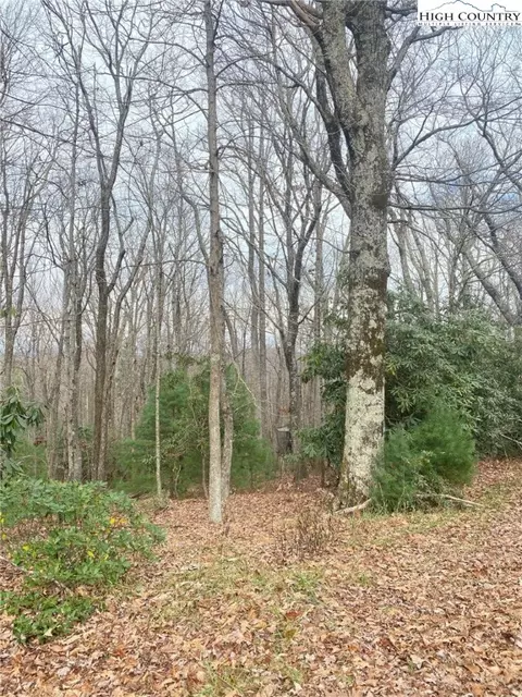 tbd Waterfall Rd, Sparta, NC 28675 photo 3