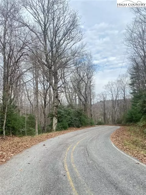 tbd Waterfall Rd, Sparta, NC 28675 photo 11