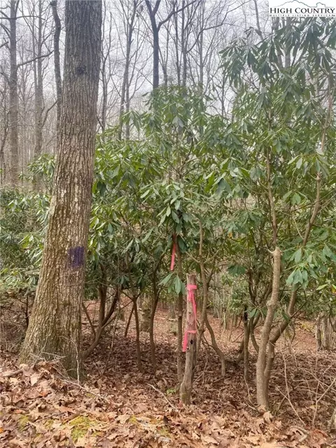 tbd Waterfall Rd, Sparta, NC 28675 photo 5