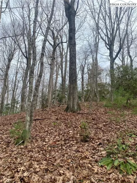 tbd Waterfall Rd, Sparta, NC 28675 photo 2
