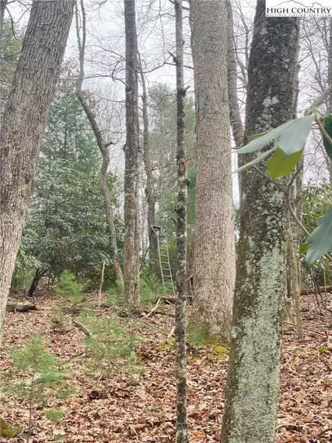 tbd Waterfall Rd, Sparta, NC 28675 photo 7