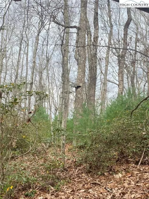 tbd Waterfall Rd, Sparta, NC 28675 photo 4
