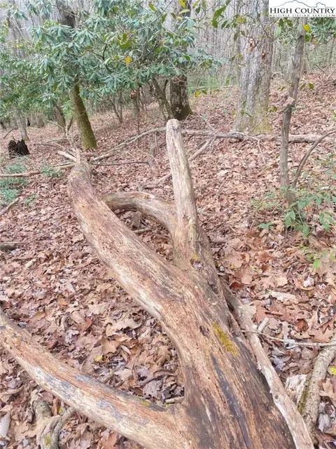 tbd Waterfall Rd, Sparta, NC 28675