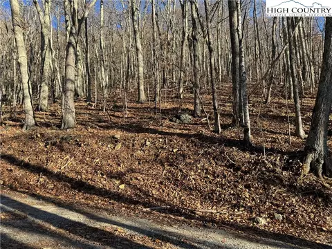 tbd Greencove Dr, Seven Devils, NC 28604 photo 8