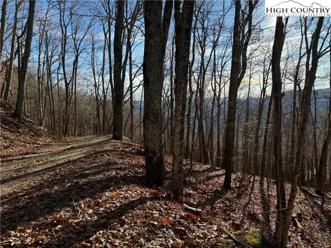 tbd Greencove Dr, Seven Devils, NC 28604 photo 2