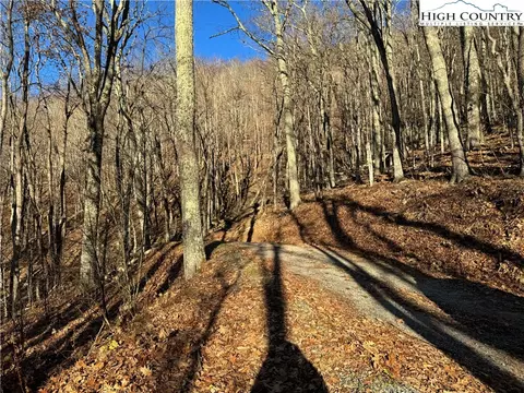 tbd Greencove Dr, Seven Devils, NC 28604 photo 6