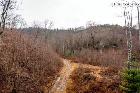 Off Brown Road, Sparta, NC 28675 photo 22