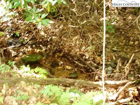 Off Brown Road, Sparta, NC 28675 photo 33
