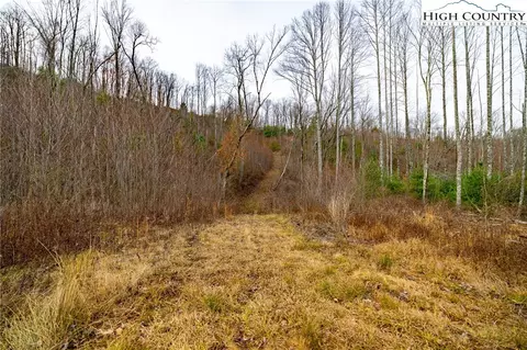 Off Brown Road, Sparta, NC 28675 photo 17
