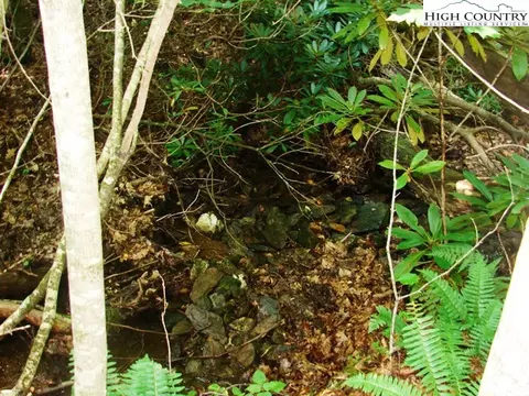 Off Brown Road, Sparta, NC 28675 photo 36