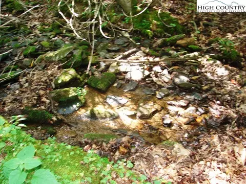Off Brown Road, Sparta, NC 28675 photo 37