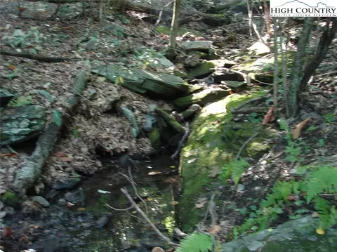 Off Brown Road, Sparta, NC 28675 photo 38