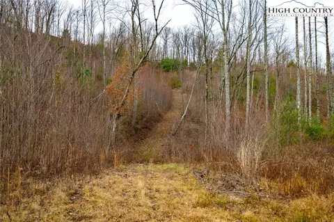 Off Brown Road, Sparta, NC 28675 photo 7