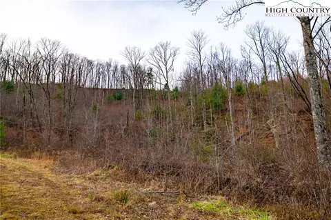 Off Brown Road, Sparta, NC 28675 photo 18