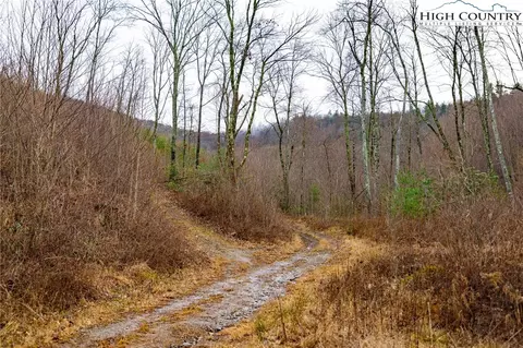 Off Brown Road, Sparta, NC 28675 photo 10