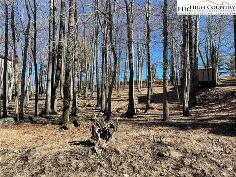 493 Saint Andrews Rd, Beech Mountain, NC 28604