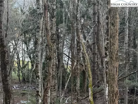 tbd Devils Lake Dr, Seven Devils, NC 28604 photo 15