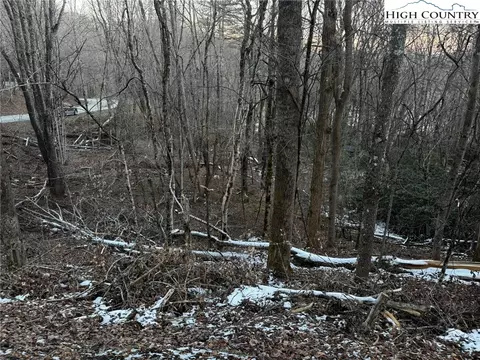 tbd Devils Lake Dr, Seven Devils, NC 28604 photo 13
