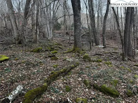 tbd Devils Lake Dr, Seven Devils, NC 28604 photo 8